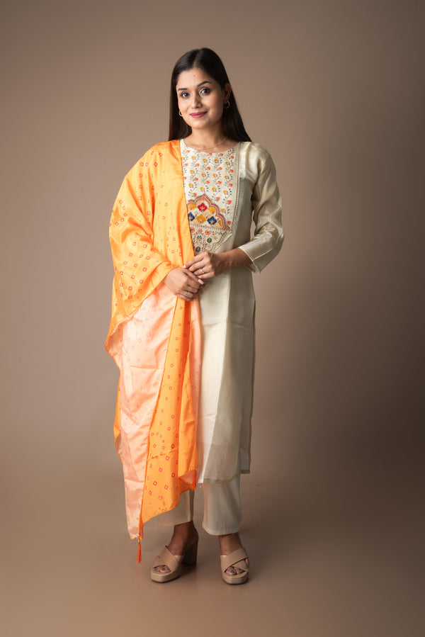 Alankrita – Tissue Shimmer Embroidered 3 Piece Set | The Utsav Edit